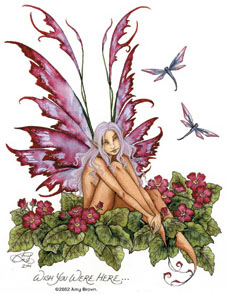 fairydragonflies4.jpg